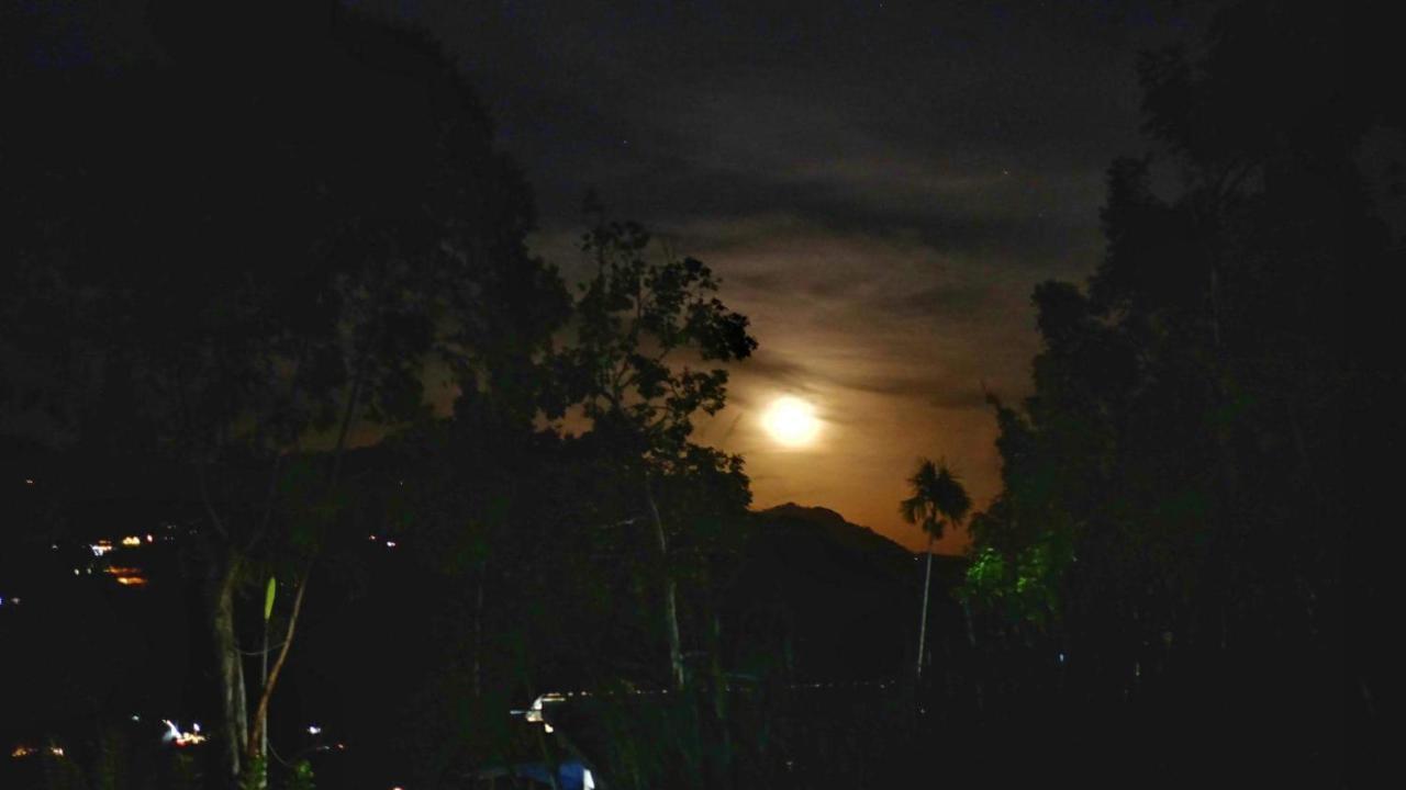 Ella Nimal Nest Inn Bagian luar foto