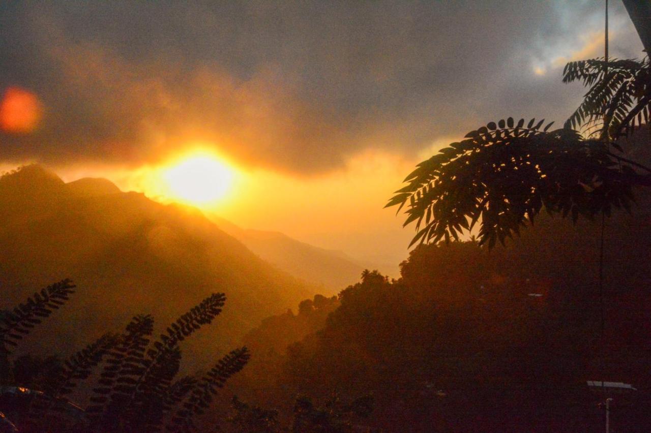 Ella Nimal Nest Inn Bagian luar foto
