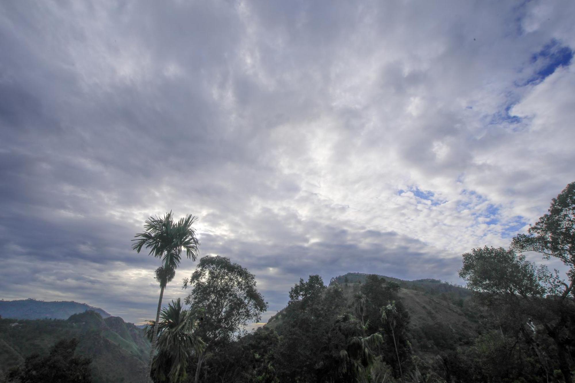 Ella Nimal Nest Inn Bagian luar foto